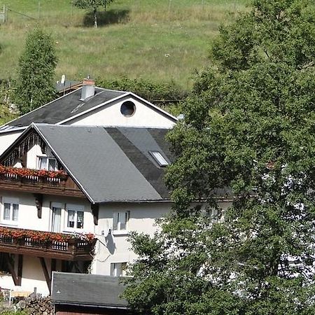 Fewo Angelika Dg Rohrbach  外观 照片